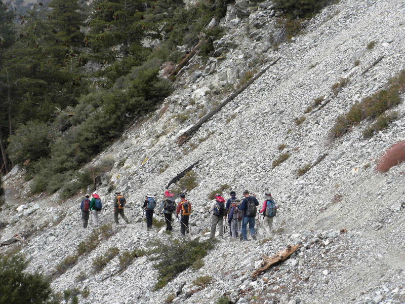 Timber101710 108.jpg